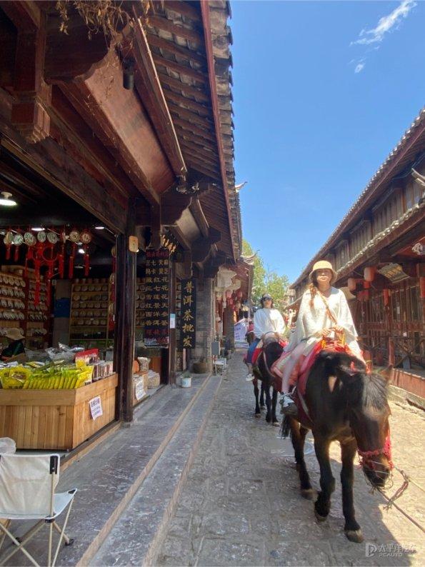 汤若望受命荐康熙接班，宣教士助力清廷签署「中俄尼布楚条约」